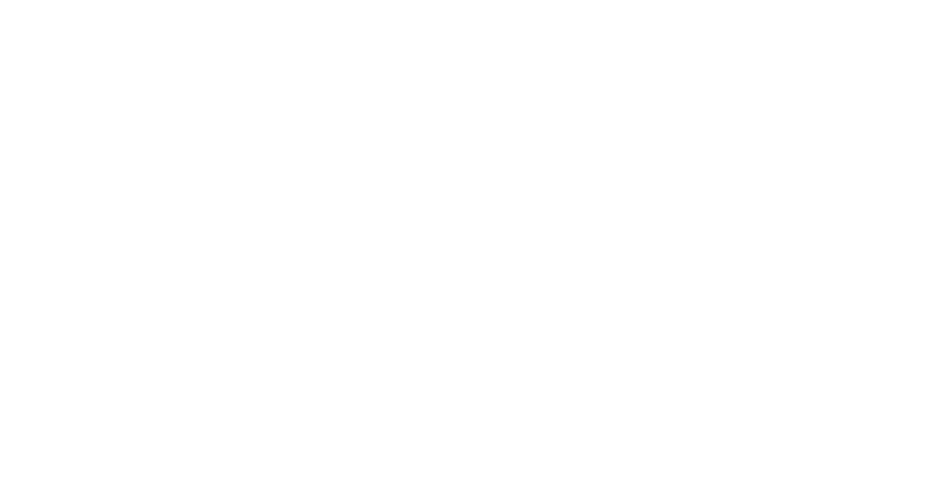 אביסדור
