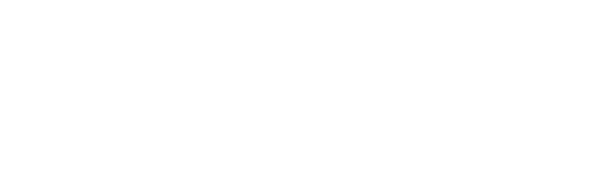 lipa meir co