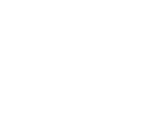 SAGY GROUP